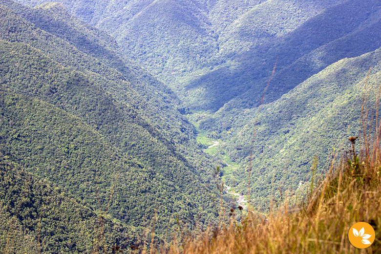 Cânion e Pico Monte Negro em São José dos Ausentes